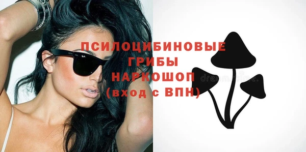 сатива Горно-Алтайск