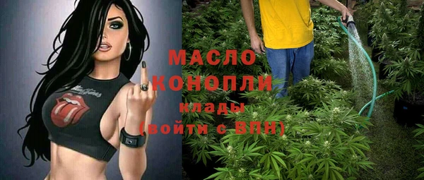 ешки Горняк