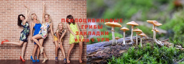 кокс Гусь-Хрустальный