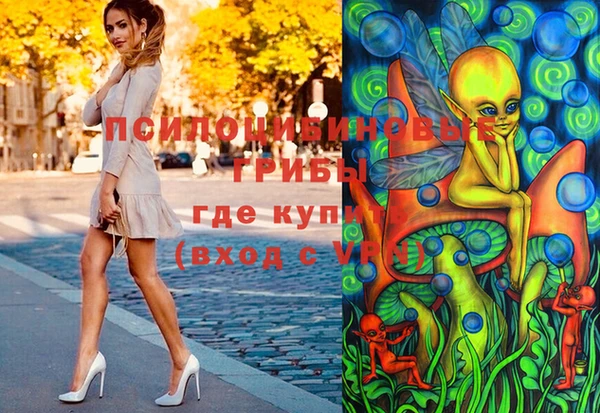 сатива Горно-Алтайск